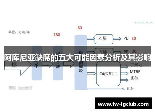 阿库尼亚缺席的五大可能因素分析及其影响